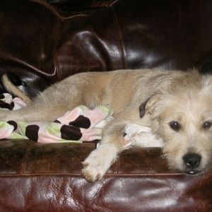 Meet your Posher, Rhonda